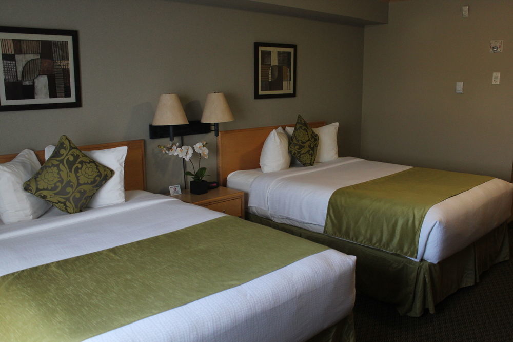 Travelodge By Wyndham Fort Mcmurray Bagian luar foto
